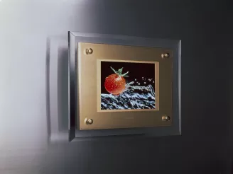 wall mounted LCD tv